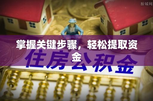 博白掌握关键步骤，轻松提取资金