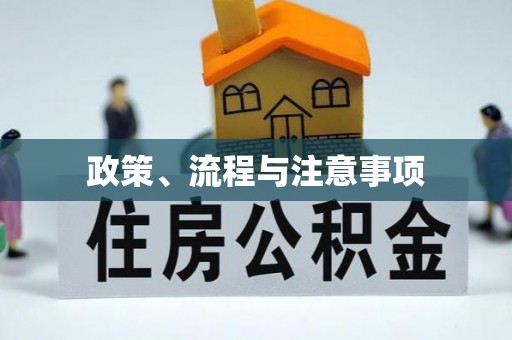 博白政策、流程与注意事项