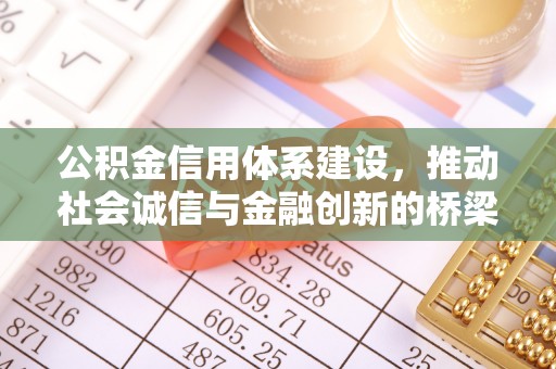 博白公积金信用体系建设，推动社会诚信与金融创新的桥梁