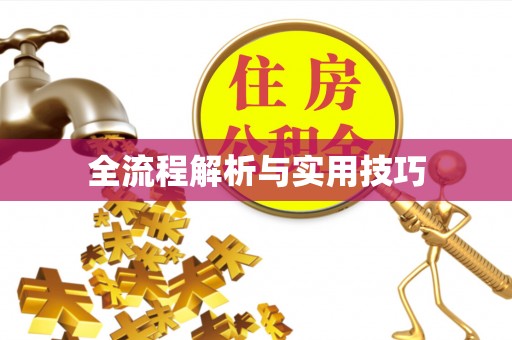 博白全流程解析与实用技巧