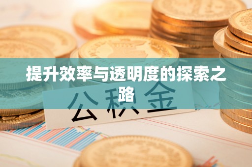博白提升效率与透明度的探索之路