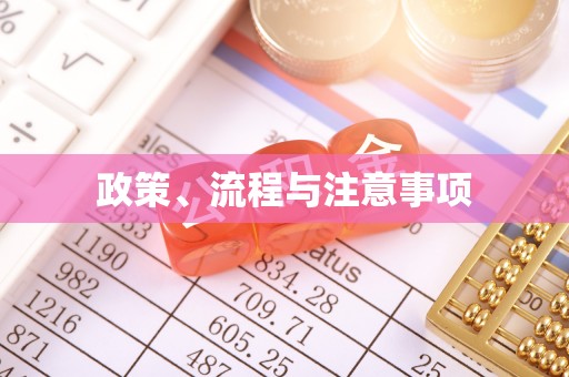博白政策、流程与注意事项