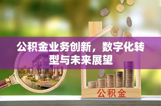 博白公积金业务创新，数字化转型与未来展望