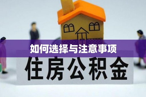 博白如何选择与注意事项