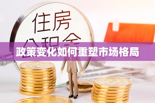 博白政策变化如何重塑市场格局