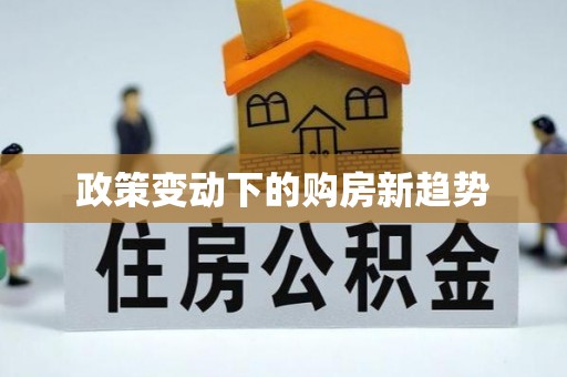 博白政策变动下的购房新趋势