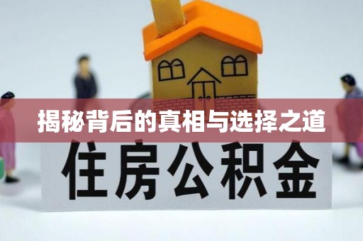 博白揭秘背后的真相与选择之道