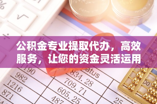 博白公积金专业提取代办，高效服务，让您的资金灵活运用