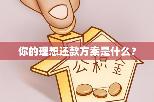 博白你的理想还款方案是什么？