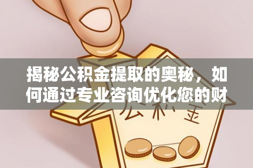 博白揭秘公积金提取的奥秘，如何通过专业咨询优化您的财务规划