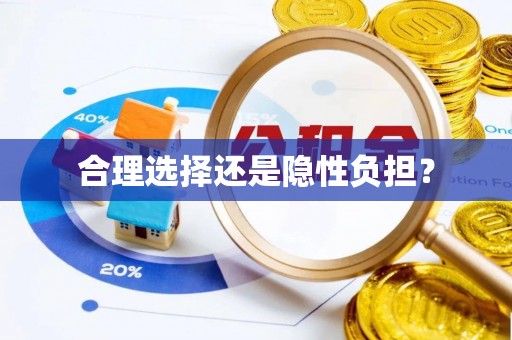 博白合理选择还是隐性负担？