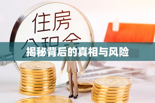 博白揭秘背后的真相与风险
