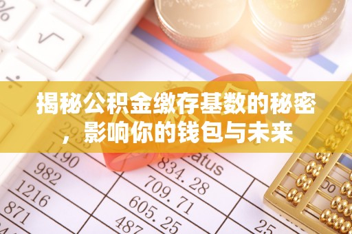 博白揭秘公积金缴存基数的秘密，影响你的钱包与未来