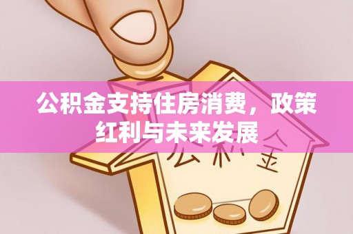 博白公积金支持住房消费，政策红利与未来发展
