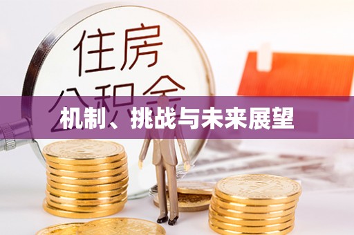 博白机制、挑战与未来展望