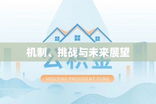 博白机制、挑战与未来展望